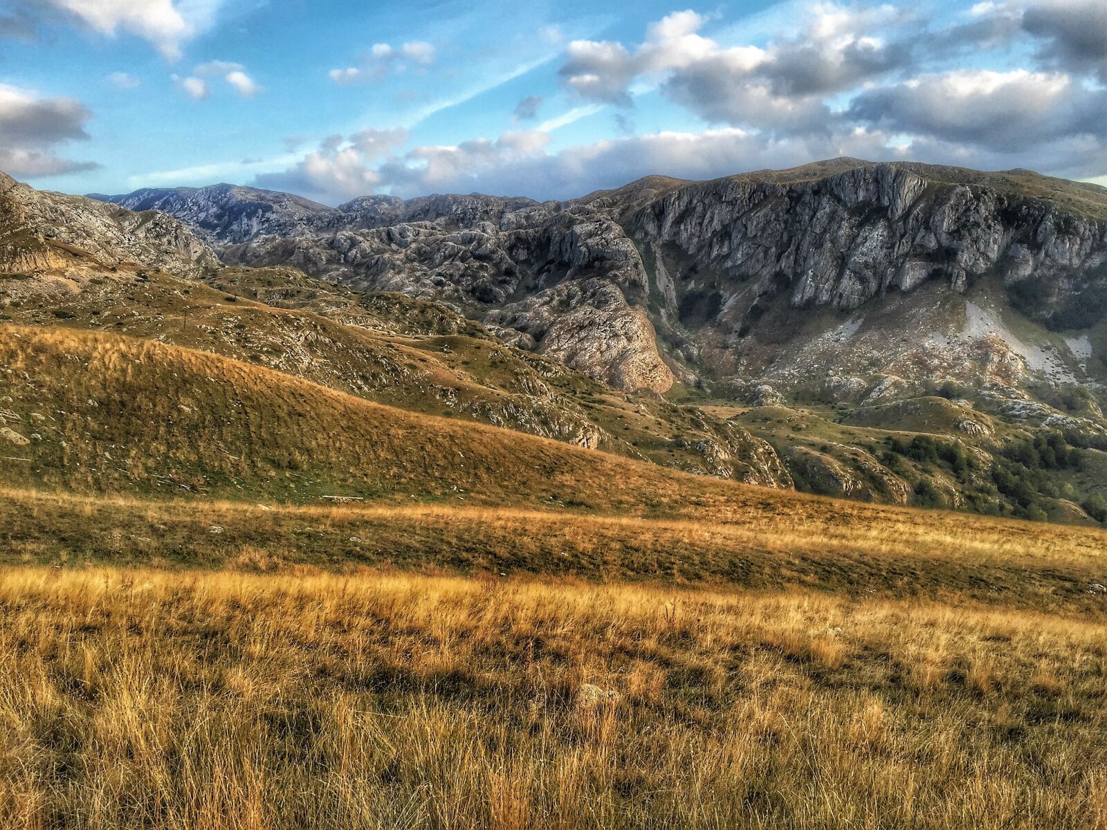 Apple iPhone 6 sample photo. Sun, summer, landscape photography
