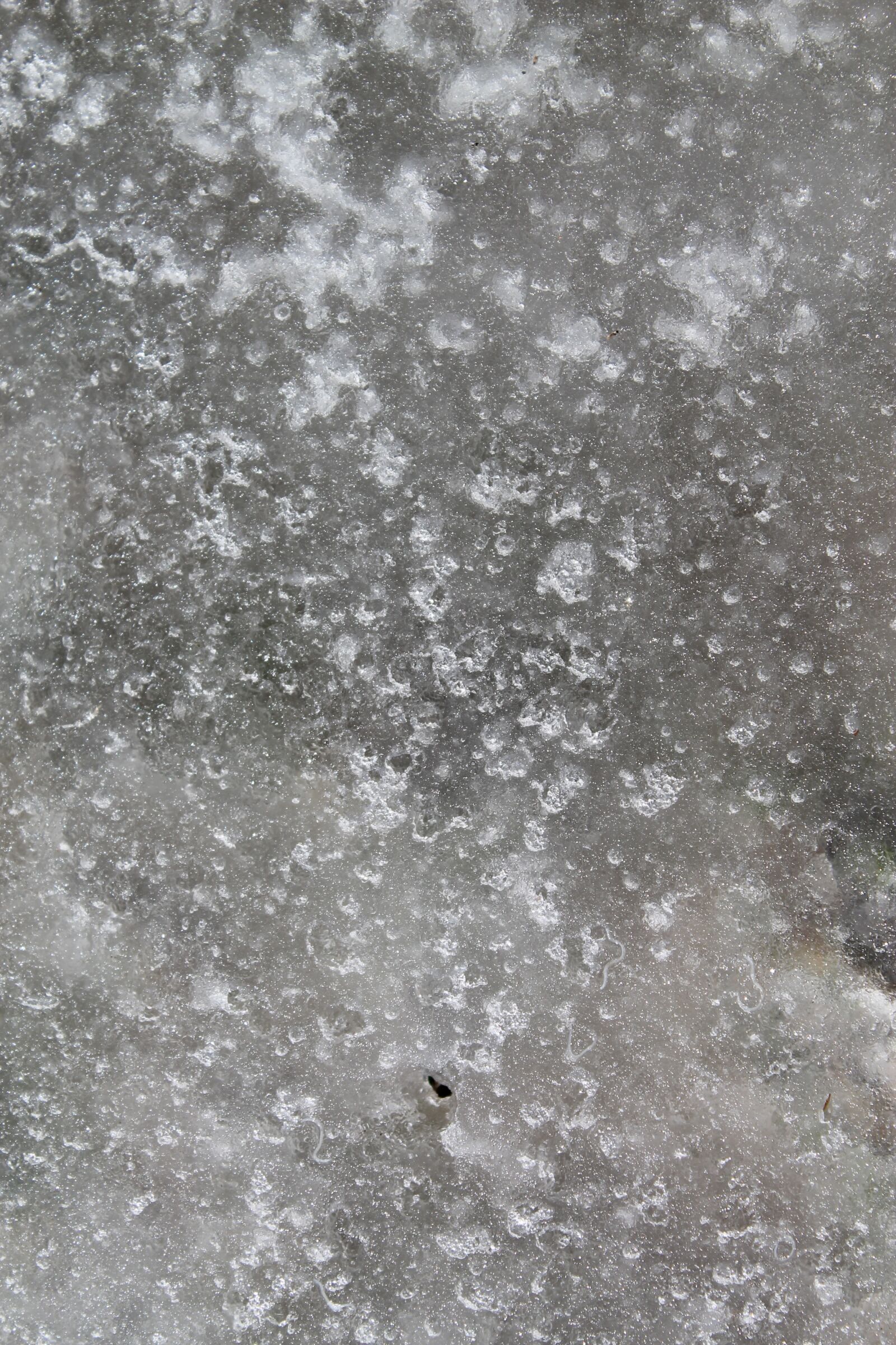 Canon EOS 1100D (EOS Rebel T3 / EOS Kiss X50) sample photo. Background, abstract, template photography