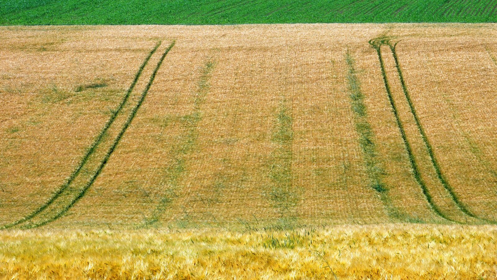 Panasonic Lumix DMC-GX85 (Lumix DMC-GX80 / Lumix DMC-GX7 Mark II) sample photo. Fields, landscape, countryside photography