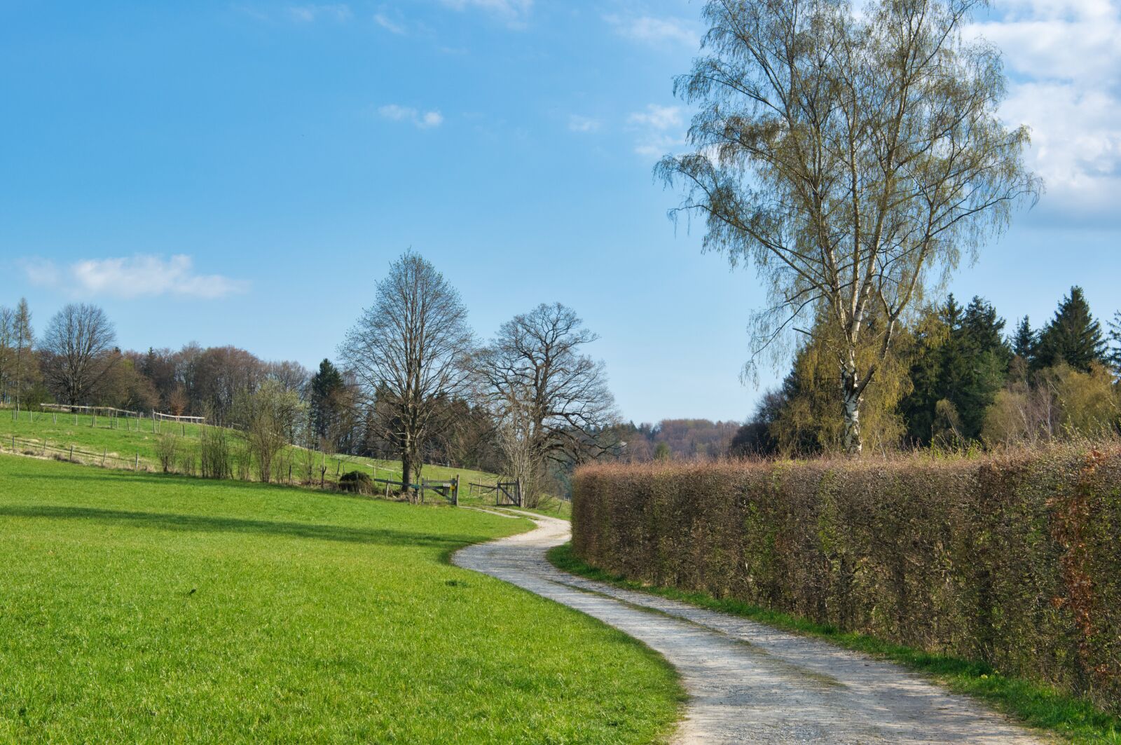Nikon D7100 sample photo. Spring, away, nature photography