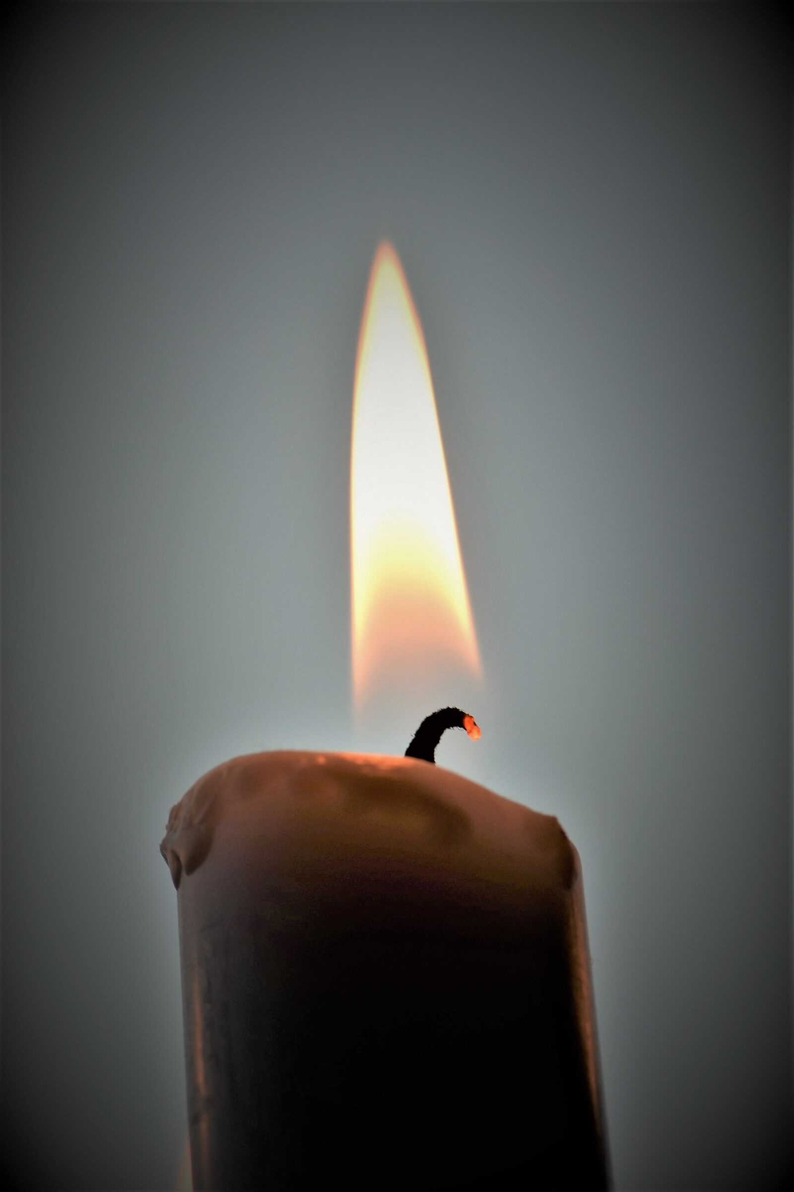 Nikon D5500 sample photo. Candle, light, fire photography