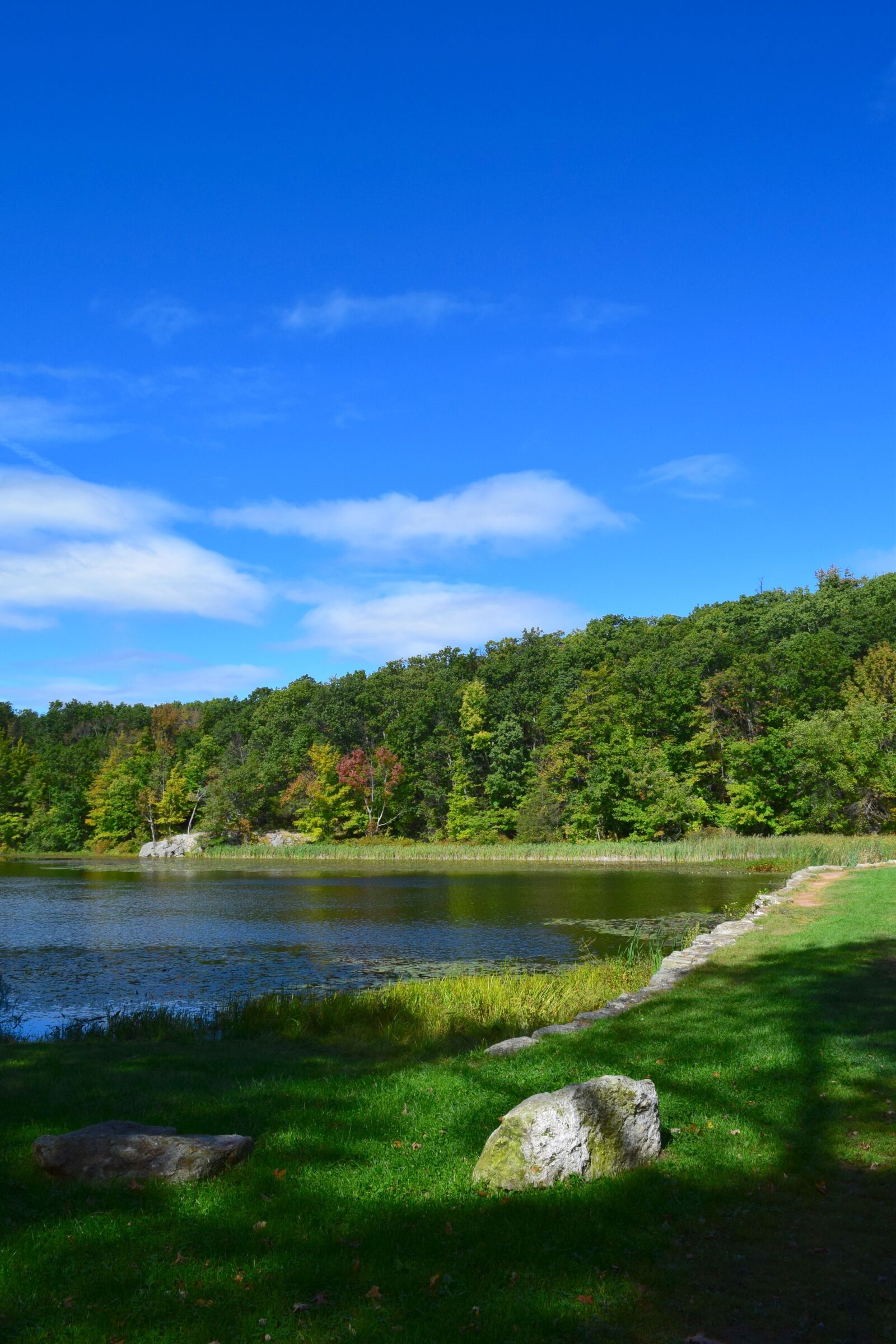 Nikon D3300 sample photo. Park, lake, water photography