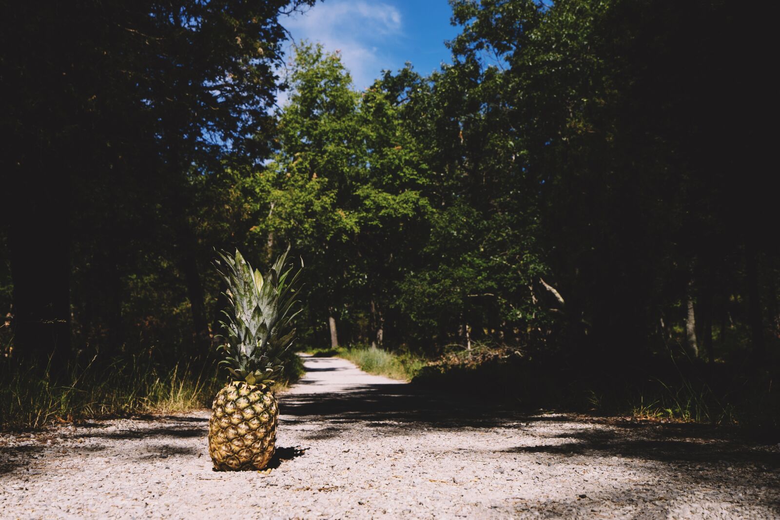 Sony a7 II + Sony Vario-Tessar T* FE 16-35mm F4 ZA OSS sample photo. Pineapple, summertime, summer photography