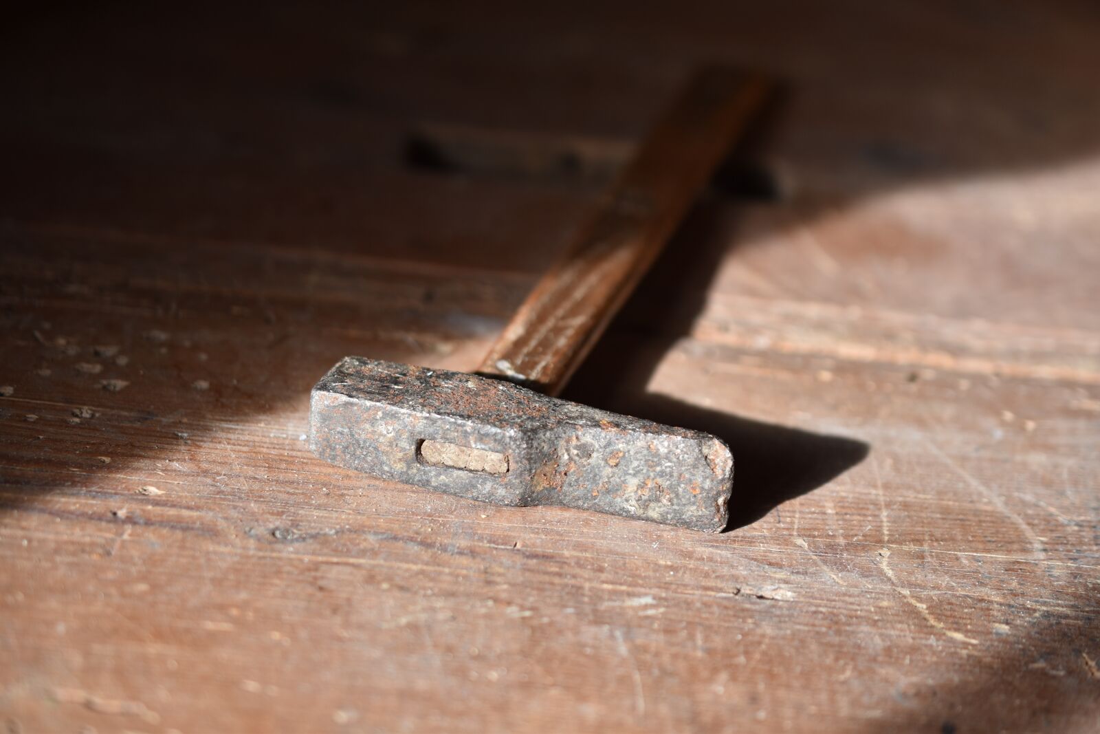 Nikon D5600 sample photo. Hammer, tool, carpenter photography