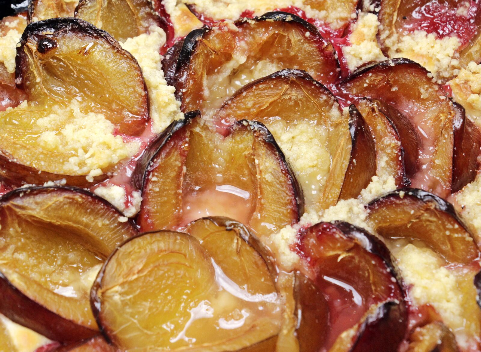 Canon EOS 100D (EOS Rebel SL1 / EOS Kiss X7) sample photo. Plum cake, plums, streusel photography