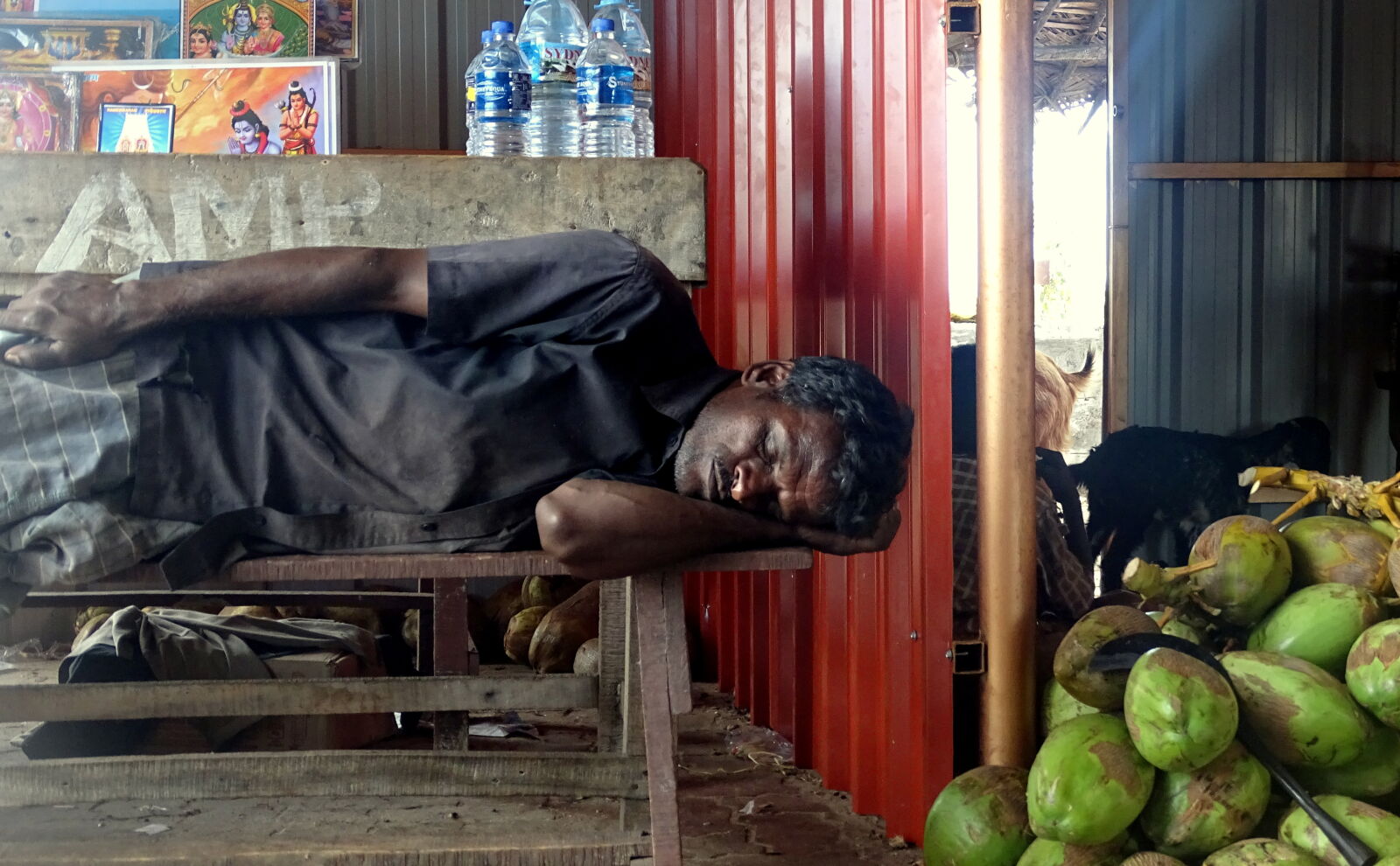 Sony Cyber-shot DSC-HX400V sample photo. Coconut, tree, customers, goat photography
