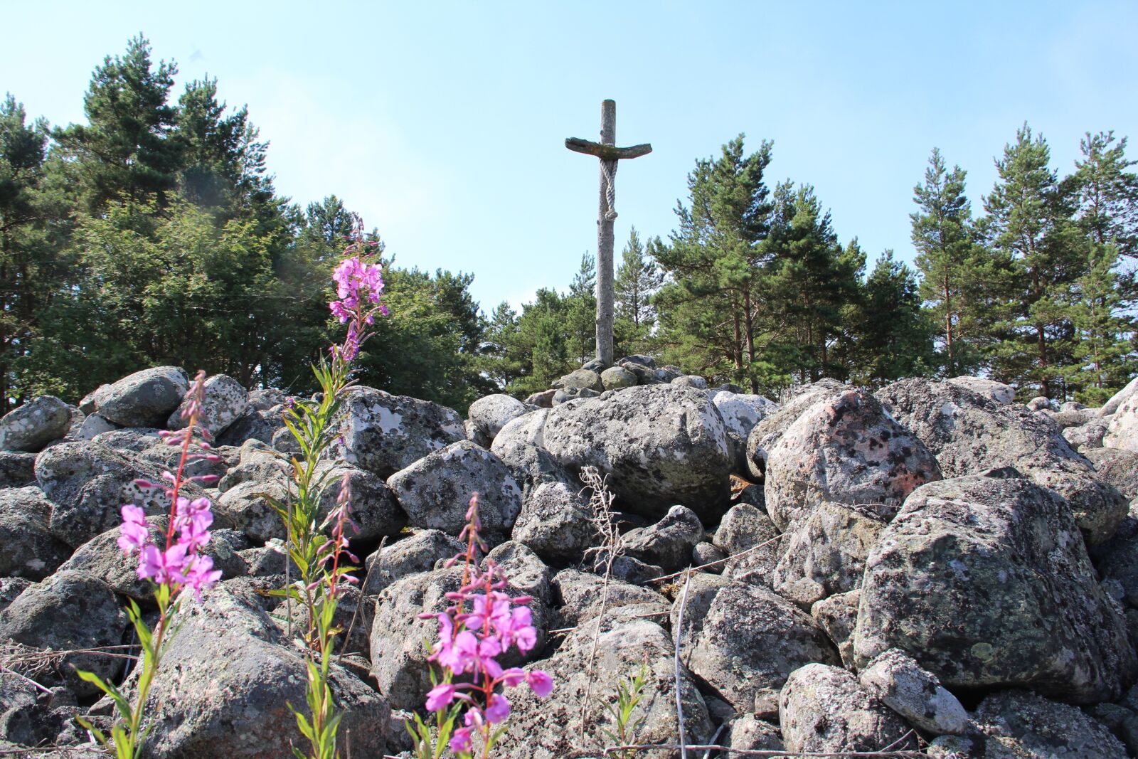 Canon EOS 600D (Rebel EOS T3i / EOS Kiss X5) sample photo. Nature, flower, landscape photography