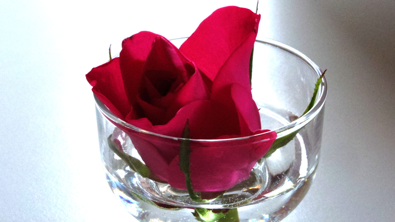Pentax Q10 sample photo. Flower photography