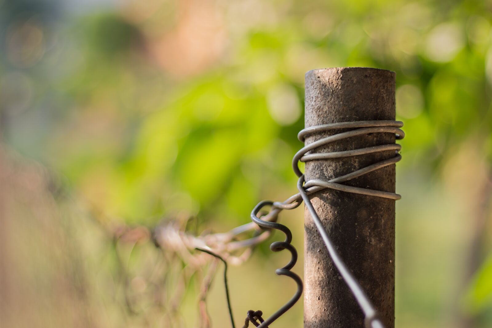 Canon EOS 700D (EOS Rebel T5i / EOS Kiss X7i) + Canon EF 50mm F1.8 STM sample photo. Fence, wires, depth of photography
