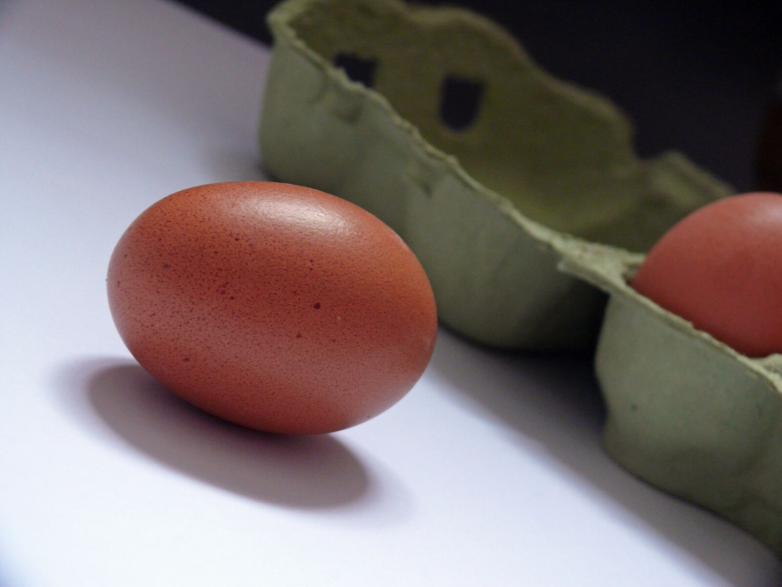Leica V-LUX 1 sample photo. Egg, egg carton, chicken photography