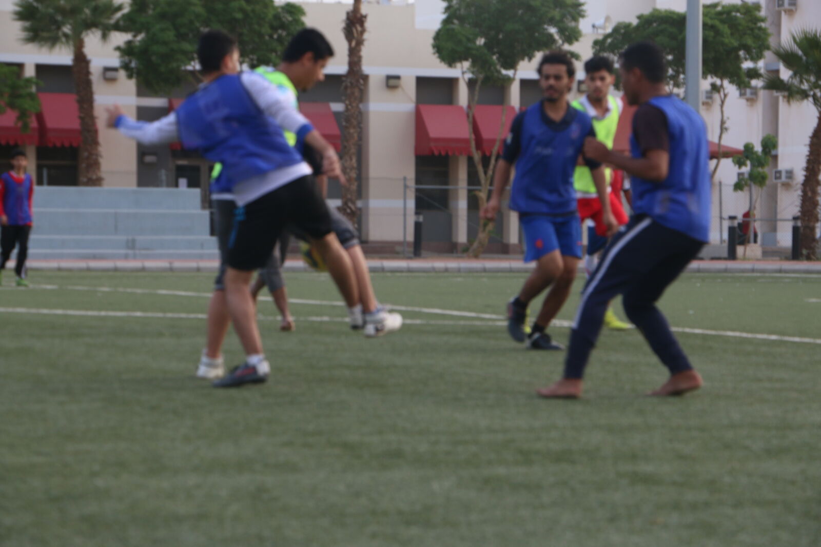 Canon EOS 70D sample photo