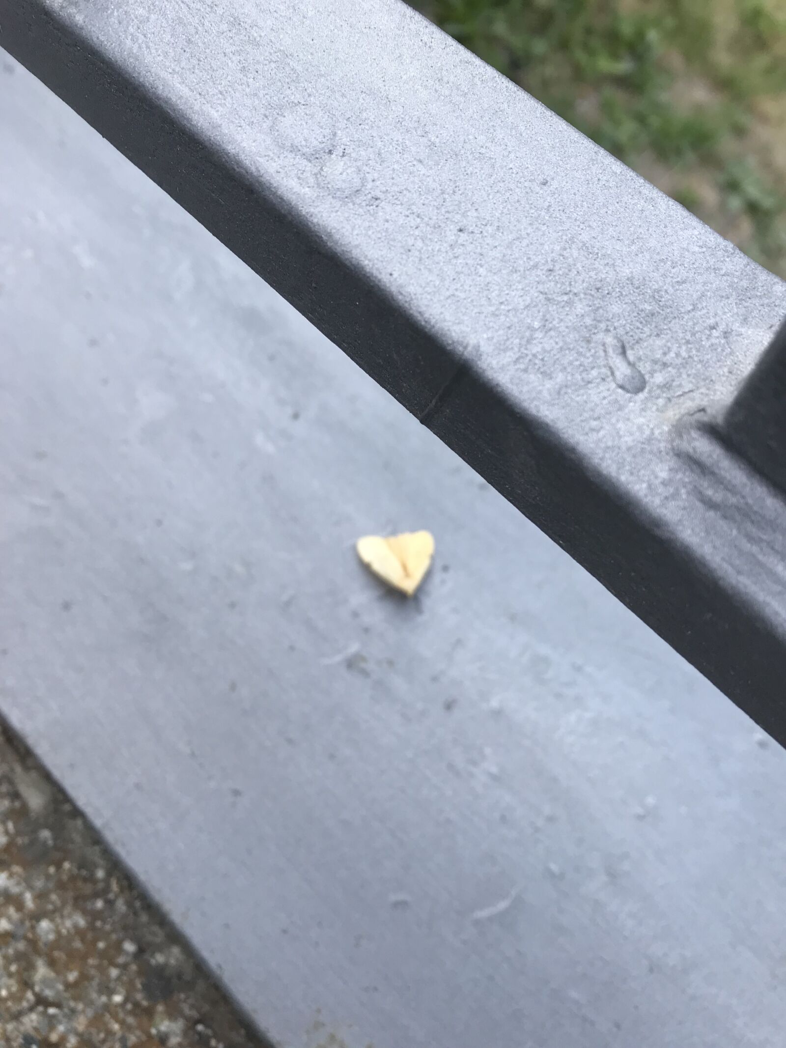 Apple iPad Pro (12.9-inch) (2nd generation) sample photo. Detail, moth, bridge photography