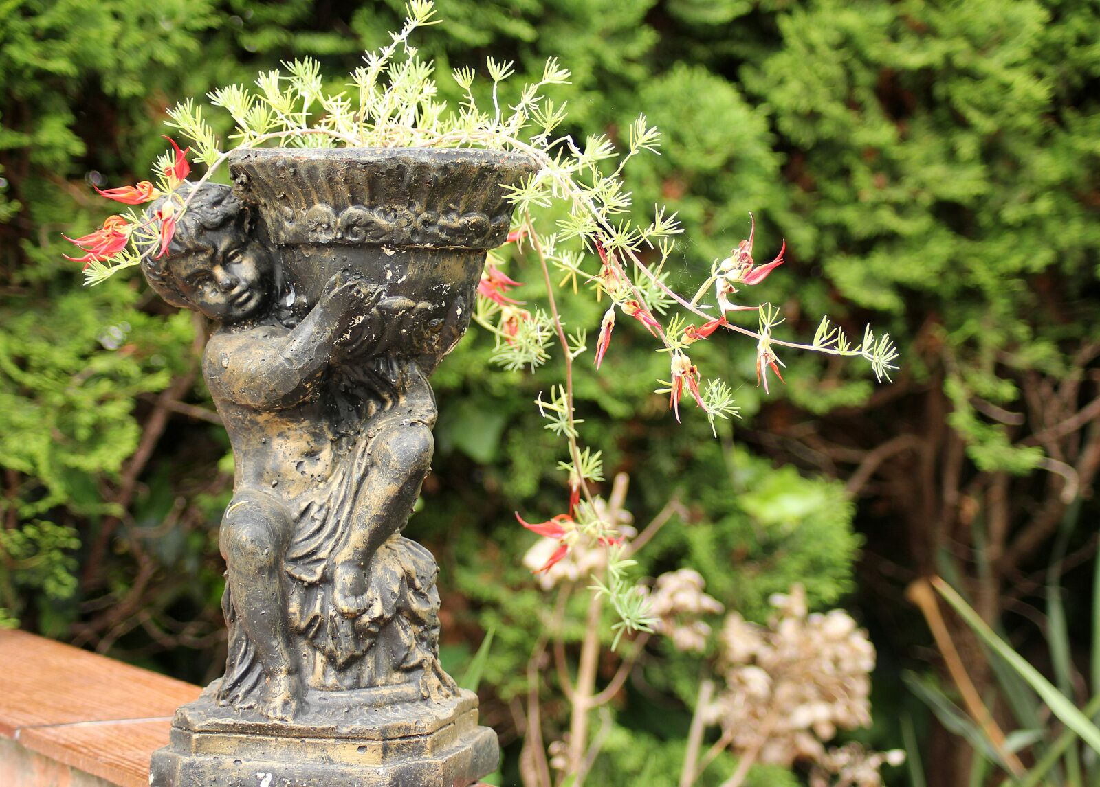 Canon EOS 1200D (EOS Rebel T5 / EOS Kiss X70 / EOS Hi) sample photo. Garden, flower pot, ornament photography