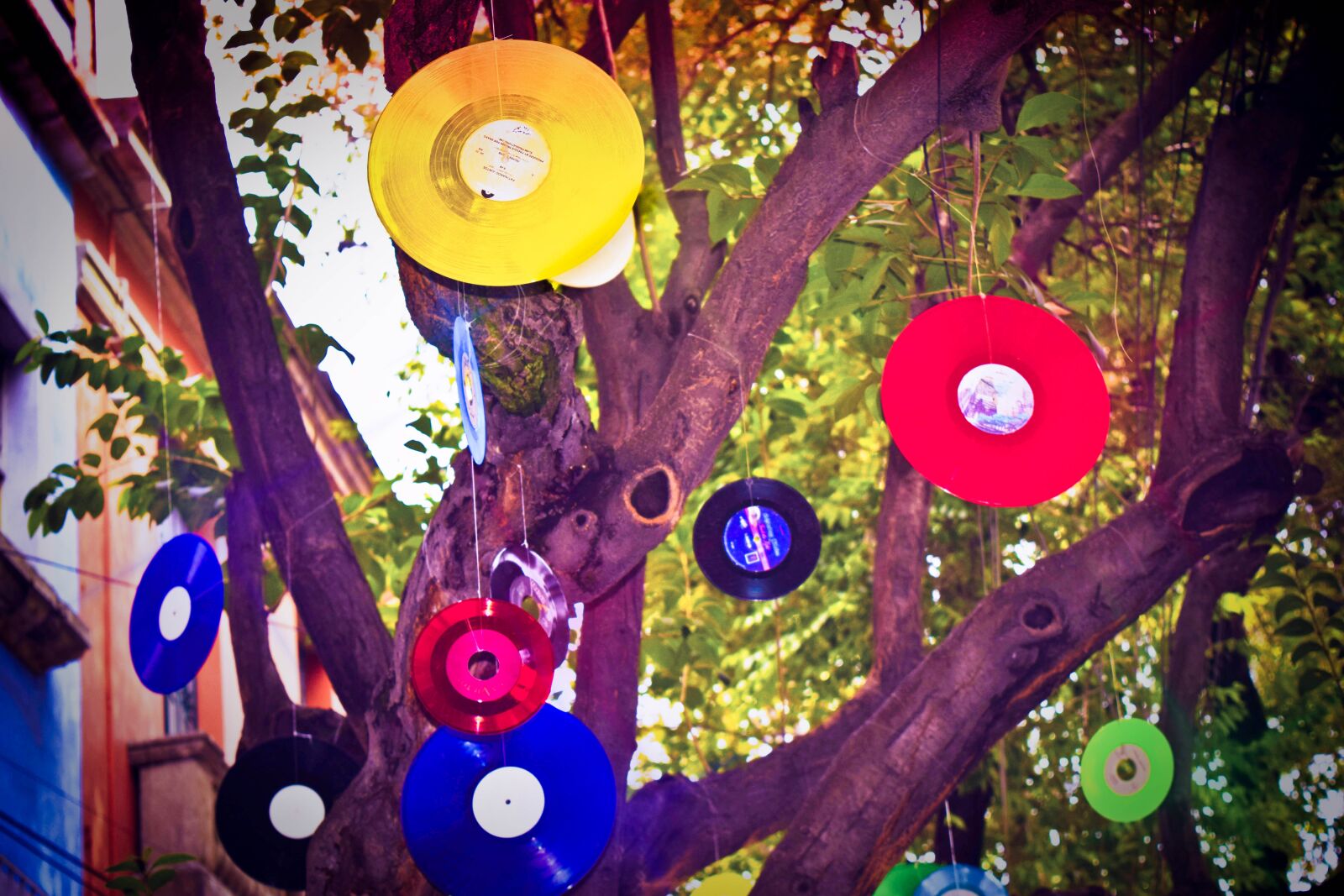 Nikon D5300 sample photo. Discs, retro, vinyl photography