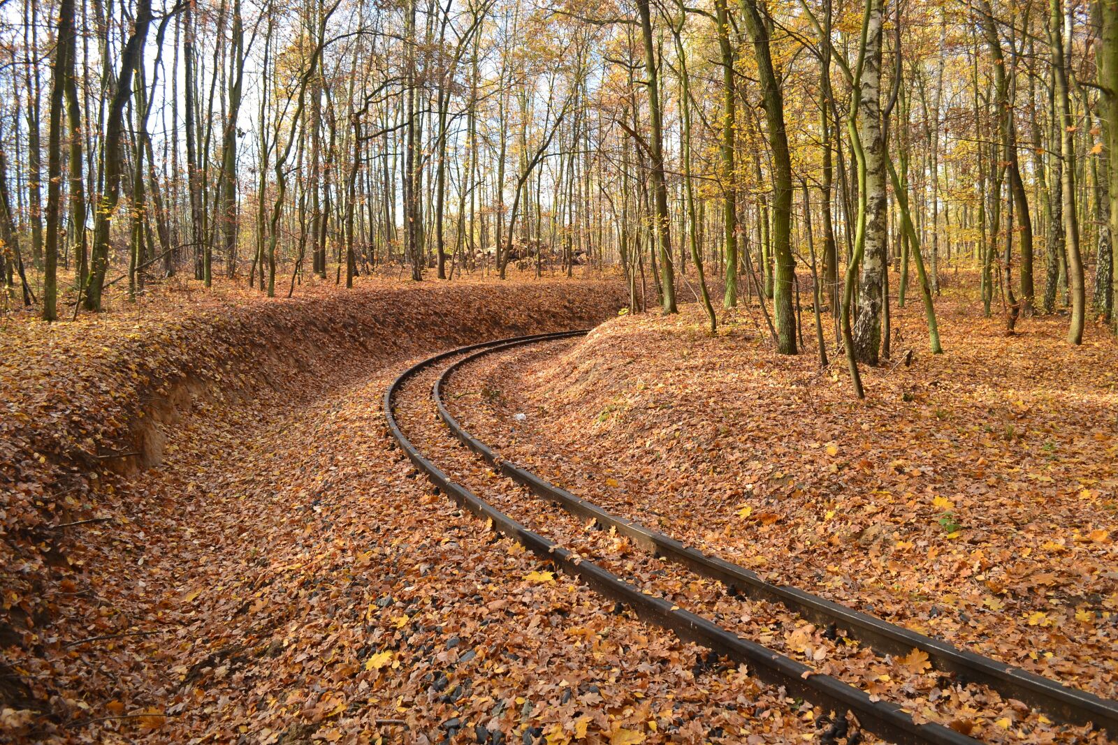 Nikon D3100 sample photo. Tracks, railway, rails photography