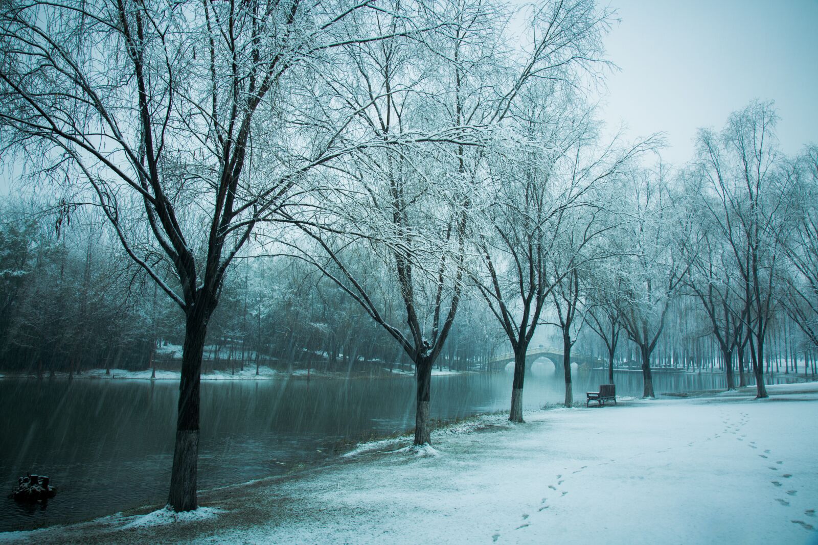 Canon EF 24-105mm F4L IS USM sample photo. Hiromasa lake, zhejiang university photography