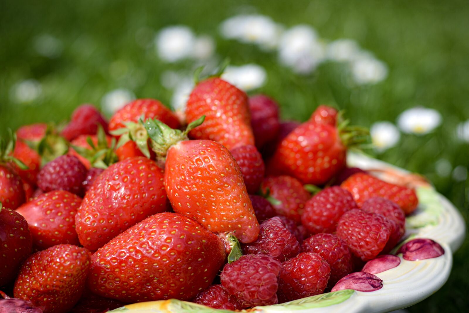 Nikon D5600 sample photo. Strawberries, flat, spring photography