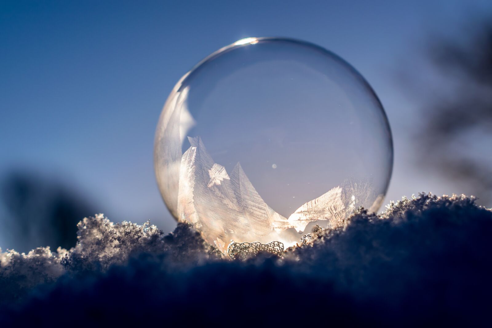 Nikon D5300 sample photo. Soap bubble, frozen, frozen photography
