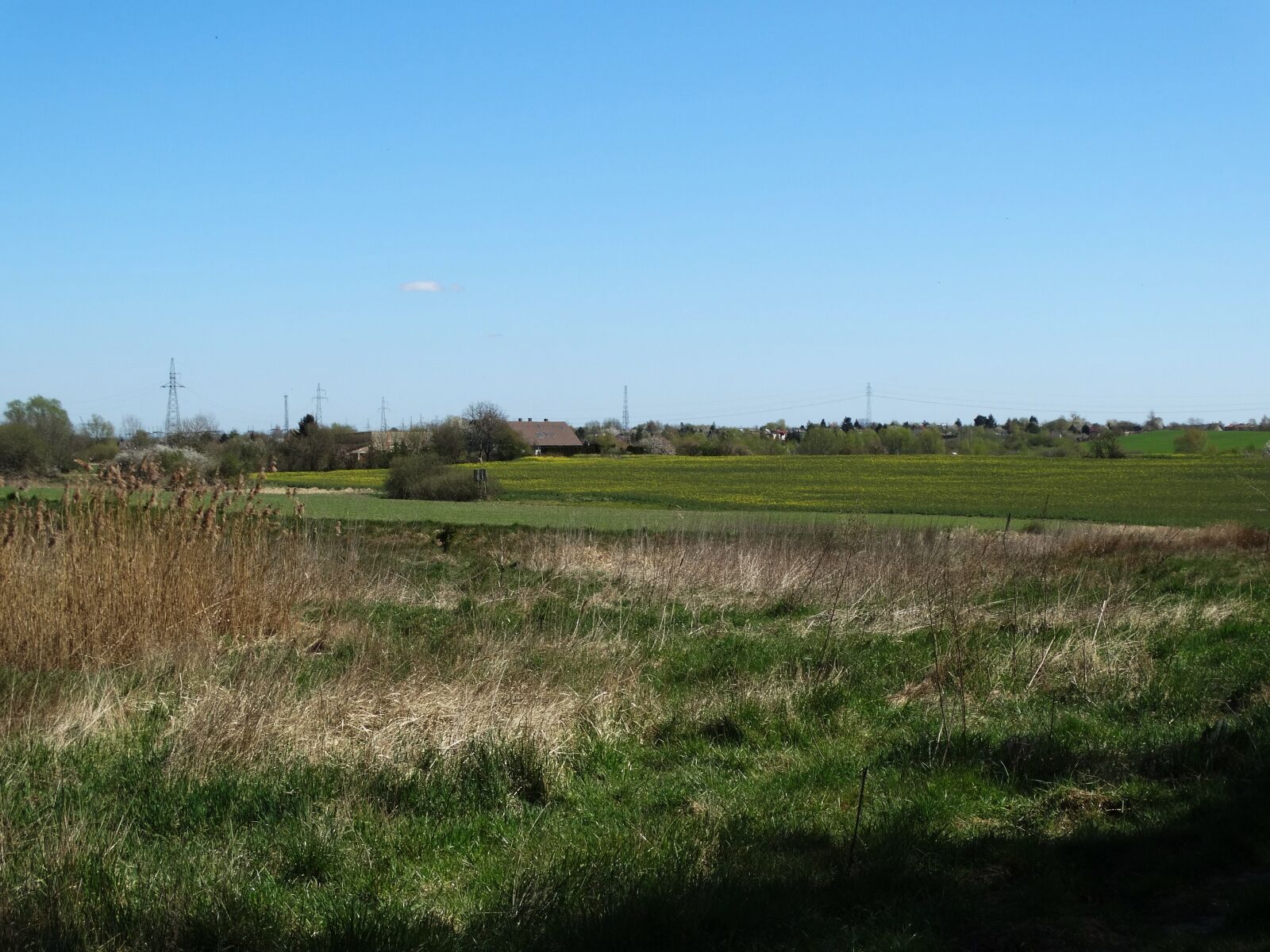 Sony Cyber-shot DSC-HX300 sample photo. Szczecin, warszawa, field photography