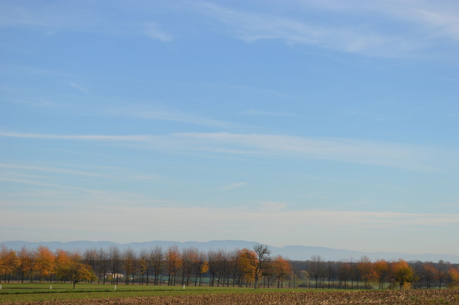 Nikon D3200 sample photo. Forest, landscape, nature photography
