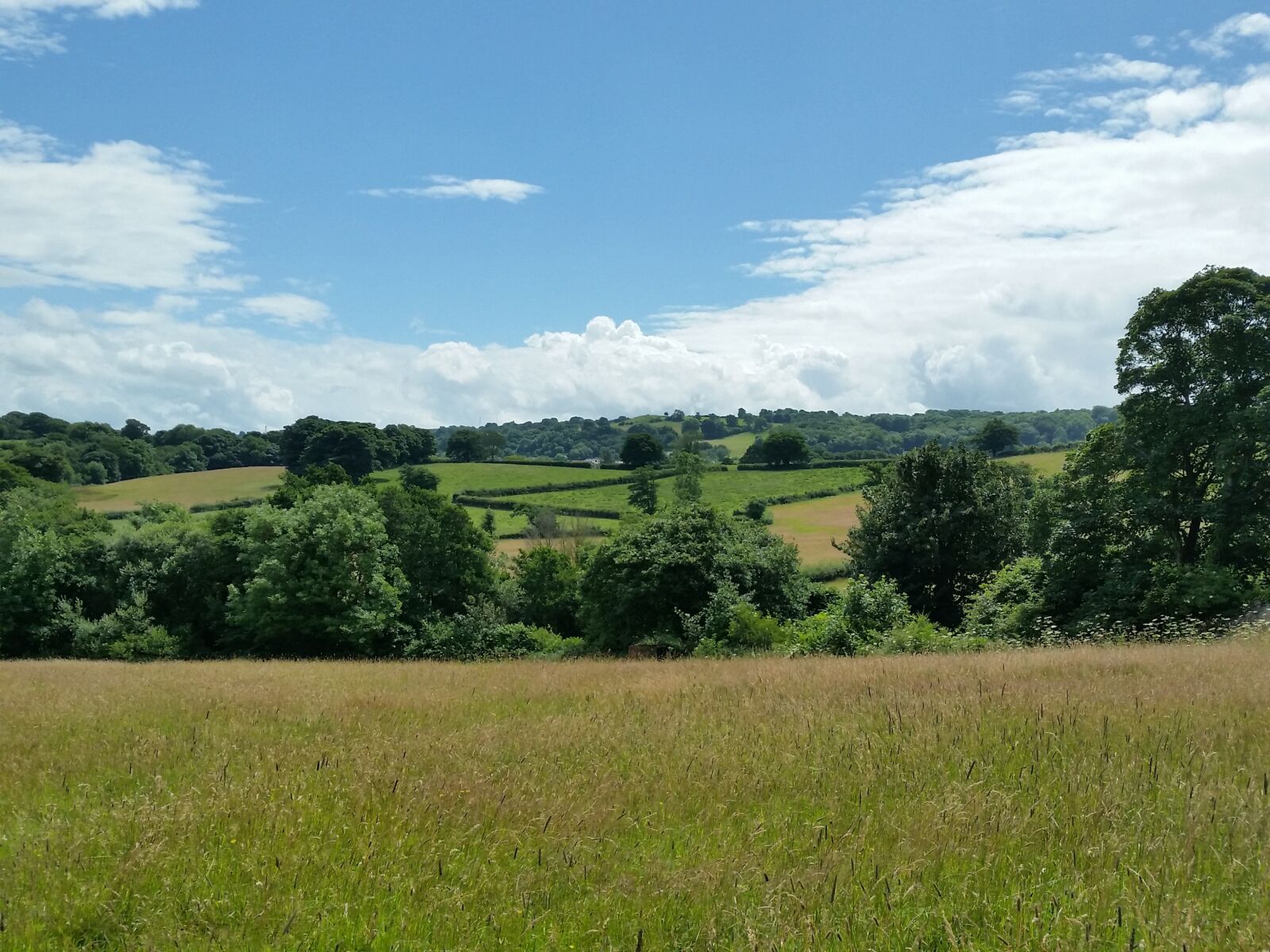 Samsung Galaxy S5 sample photo. Fields, wales, scenery photography