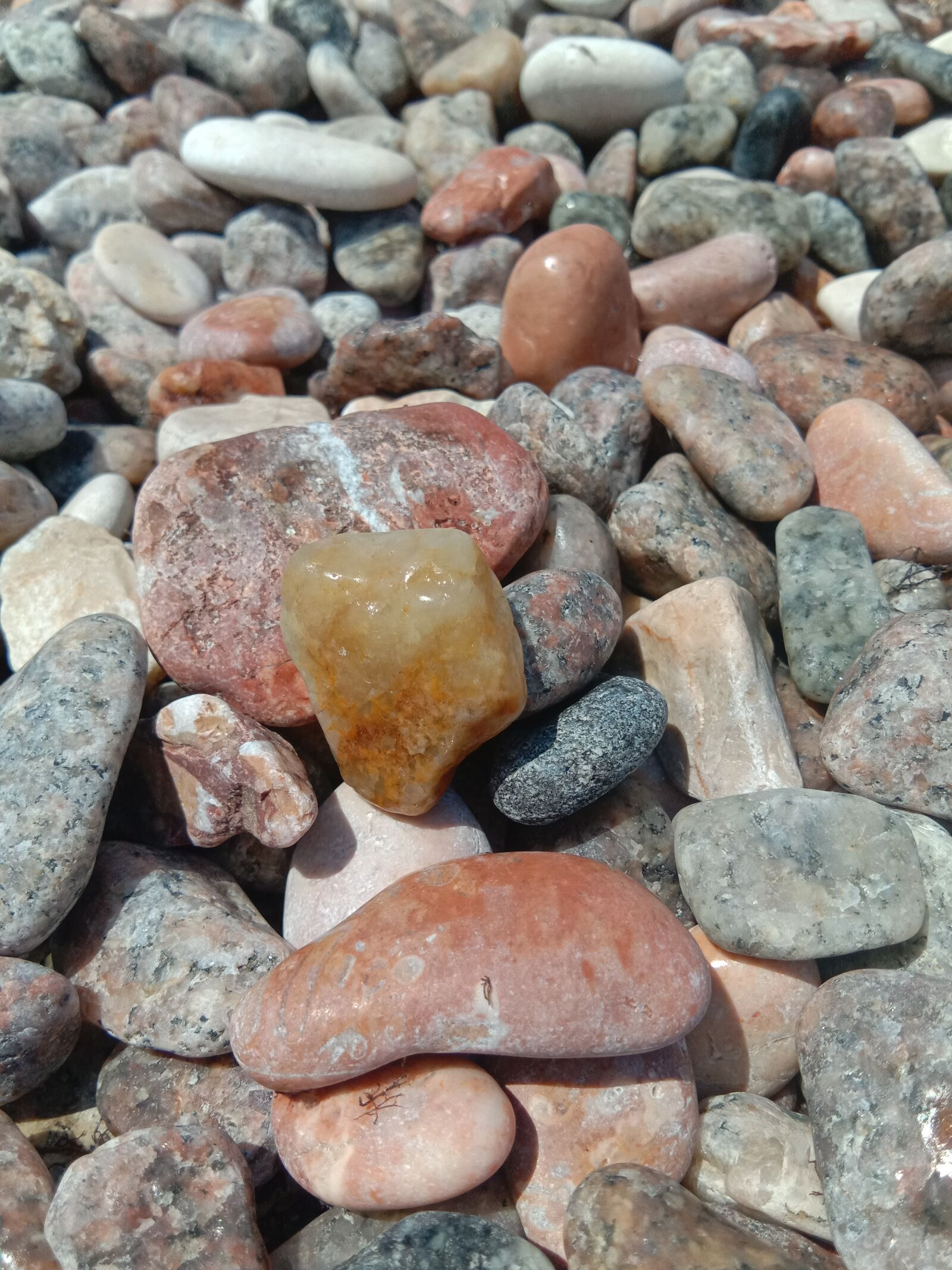 vivo 1726 sample photo. Pebbles, sea, beach photography