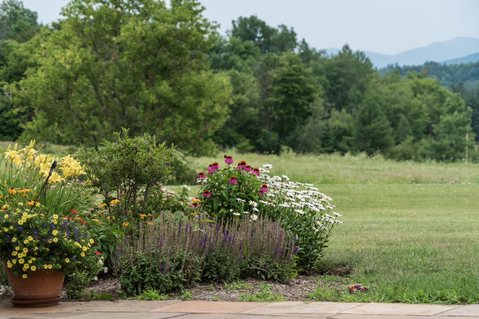 Sony a7R II + Sony FE 24-240mm F3.5-6.3 OSS sample photo. Vermont, flowers, green photography