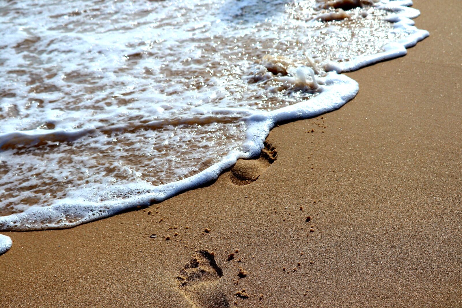 Canon EOS M50 (EOS Kiss M) sample photo. Beach, footprints, sand photography