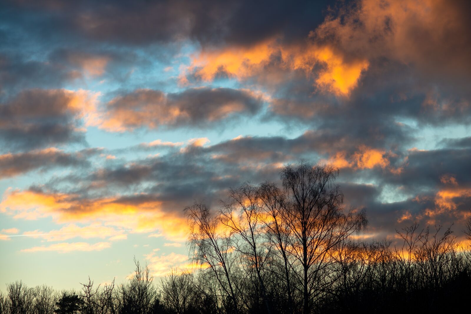 Nikon D800 sample photo. Sunset, wintry, sky photography