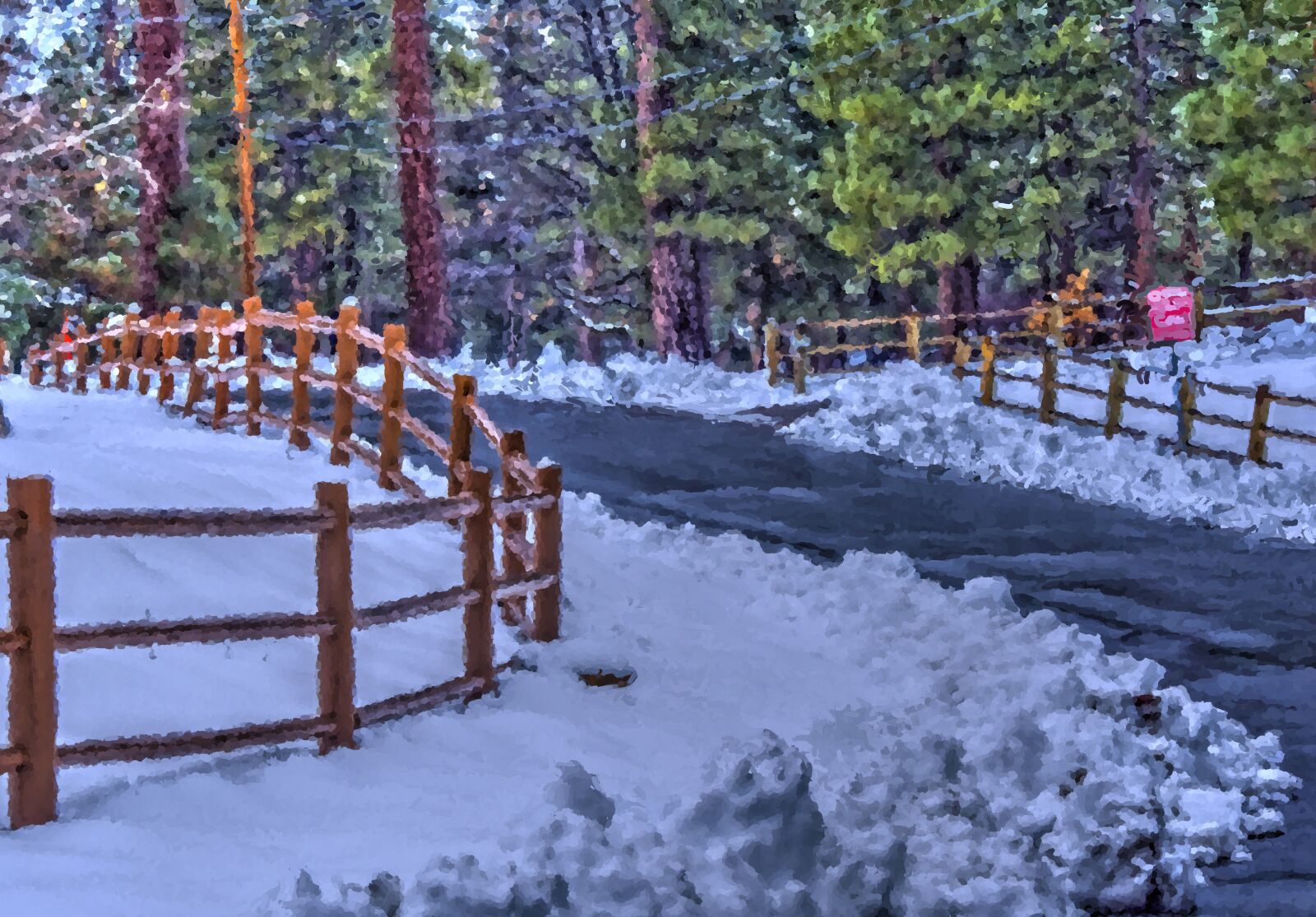 Nikon D750 sample photo. Winter snow, trees, forest photography