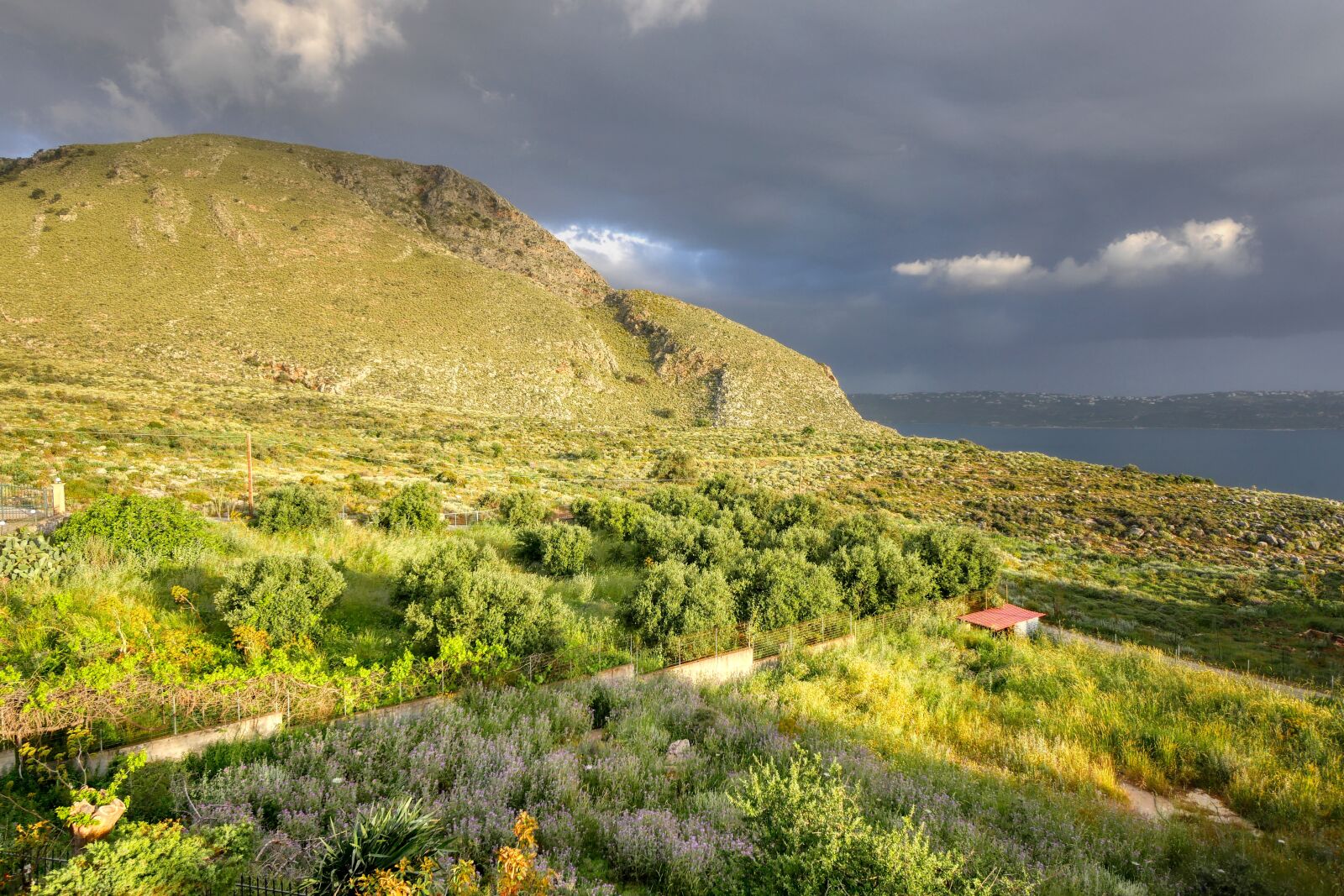 Panasonic Lumix DMC-GX8 sample photo. Crete, greece, mountain photography