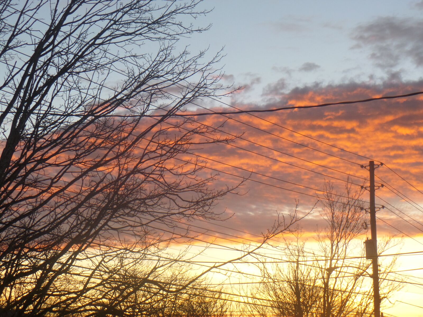 Samsung WB800F sample photo. Sky, sunset, trees photography
