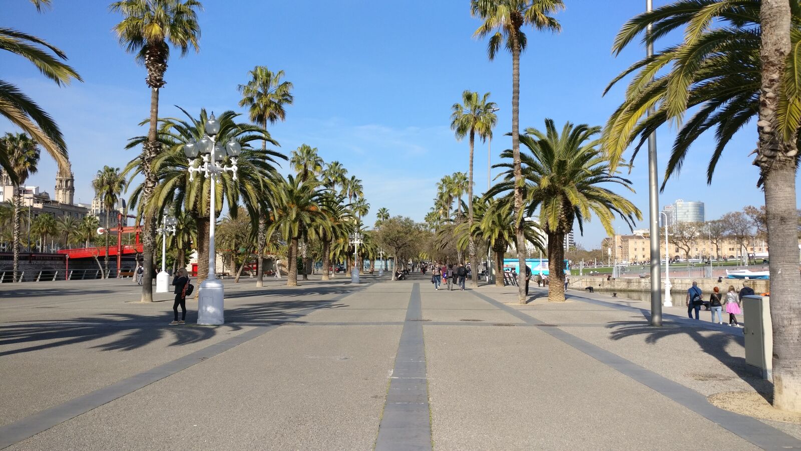 OnePlus A3003 sample photo. Palm, tree, promenade photography