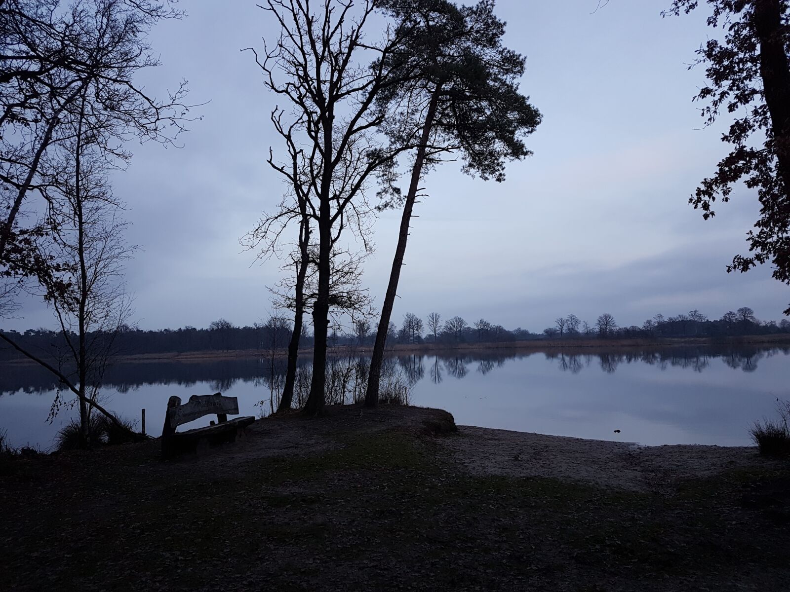 Samsung Galaxy S7 Edge sample photo. Ven, forest, oisterwijk photography