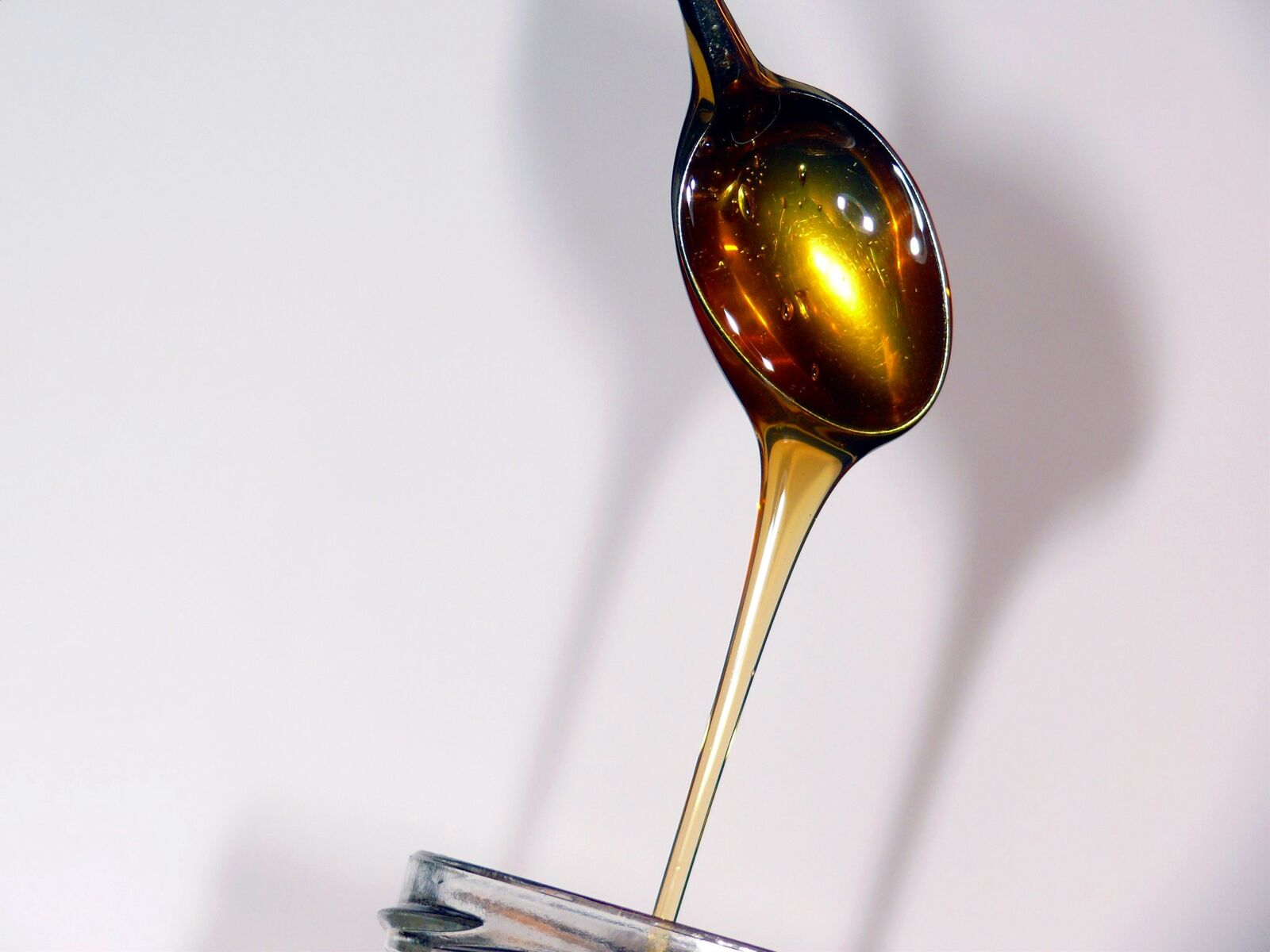 Leica V-LUX 1 sample photo. Honey, honey dipper, nectar photography