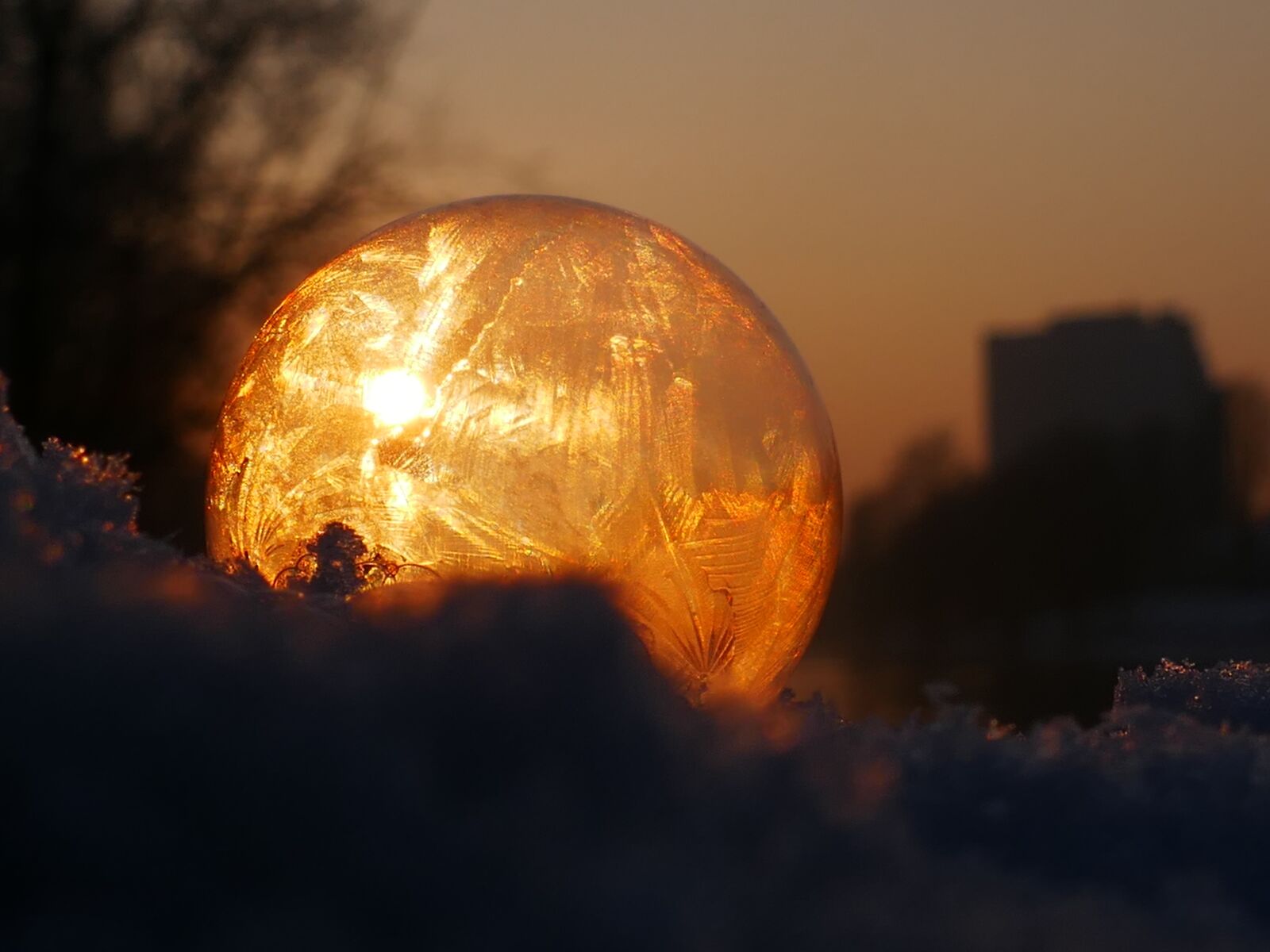 Panasonic DMC-TZ101 sample photo. Soap bubble, frozen, frost photography