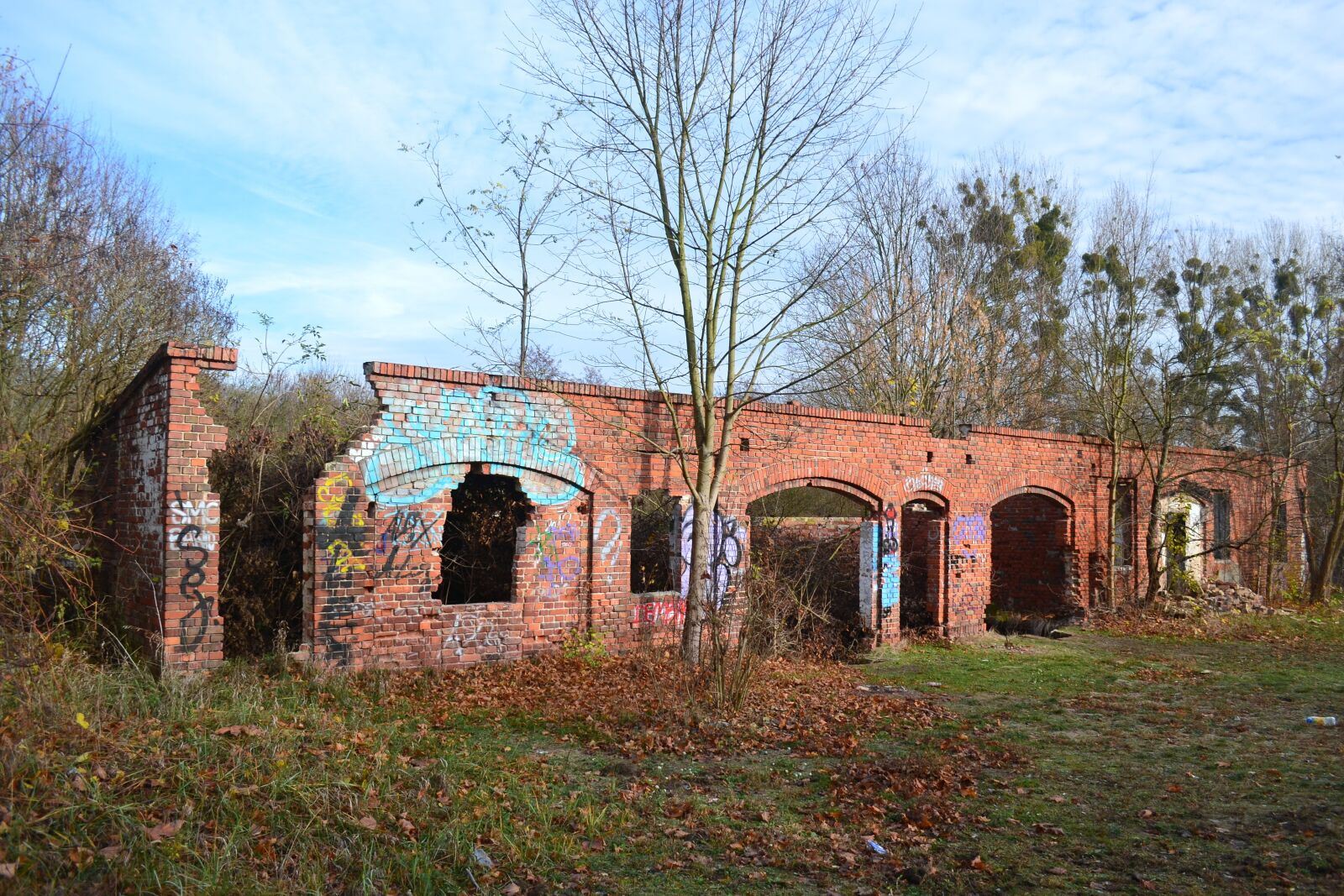 Nikon D3100 sample photo. Crash, abandoned, old photography