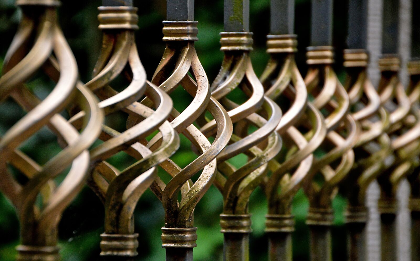 Nikon D3200 sample photo. Iron gate, wrought iron photography