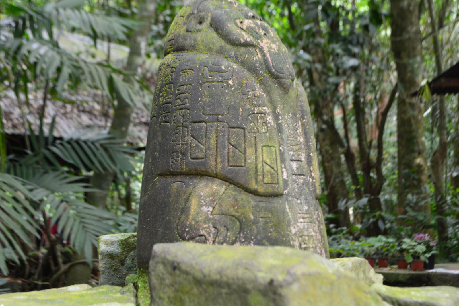 Nikon D5200 sample photo. Veracruz, mexico, prehispanic photography