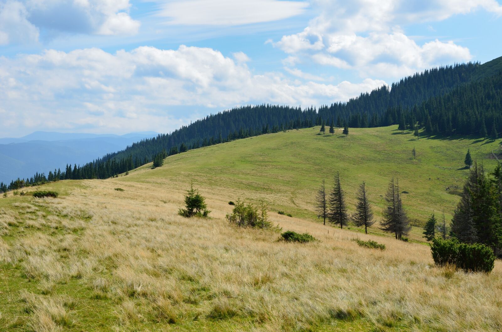 Nikon D7000 sample photo. Mountain, pasture, treeless photography
