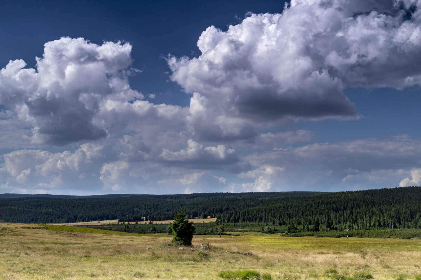 Canon EOS 6D + Canon EF 50mm F1.4 USM sample photo. Mountains, isar, jizera mountains photography