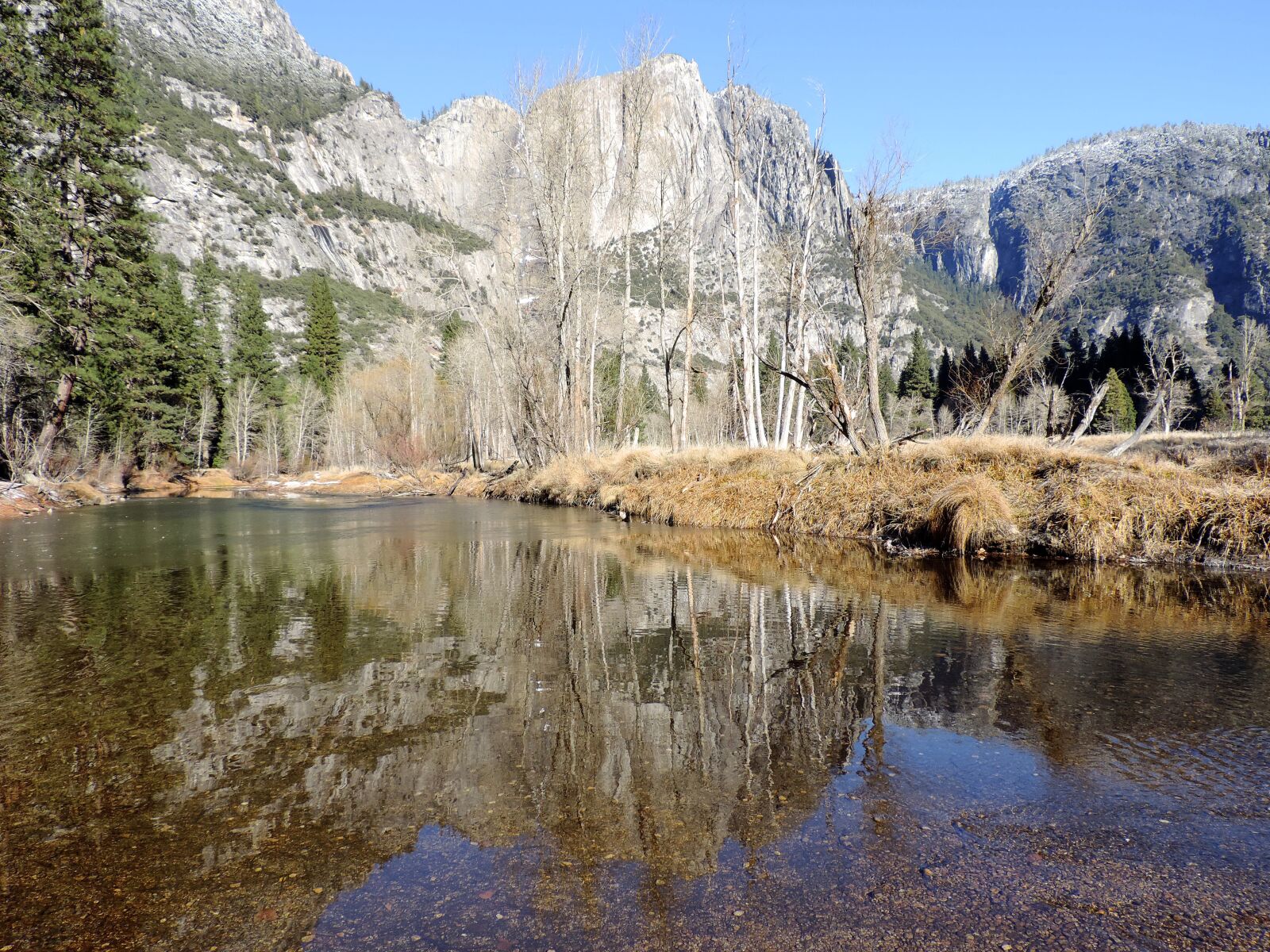 Nikon Coolpix P520 sample photo. California, yosemite, national photography