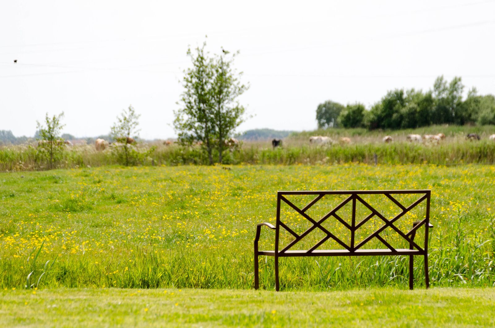 Nikon D7000 sample photo. Bank, garden, vacations photography