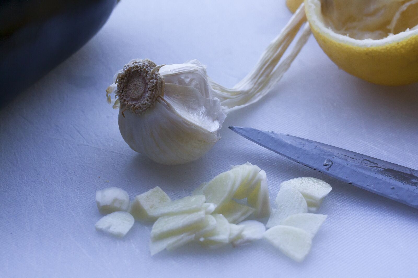 Canon EOS 50D sample photo. Eggplant, lemon, garlic photography