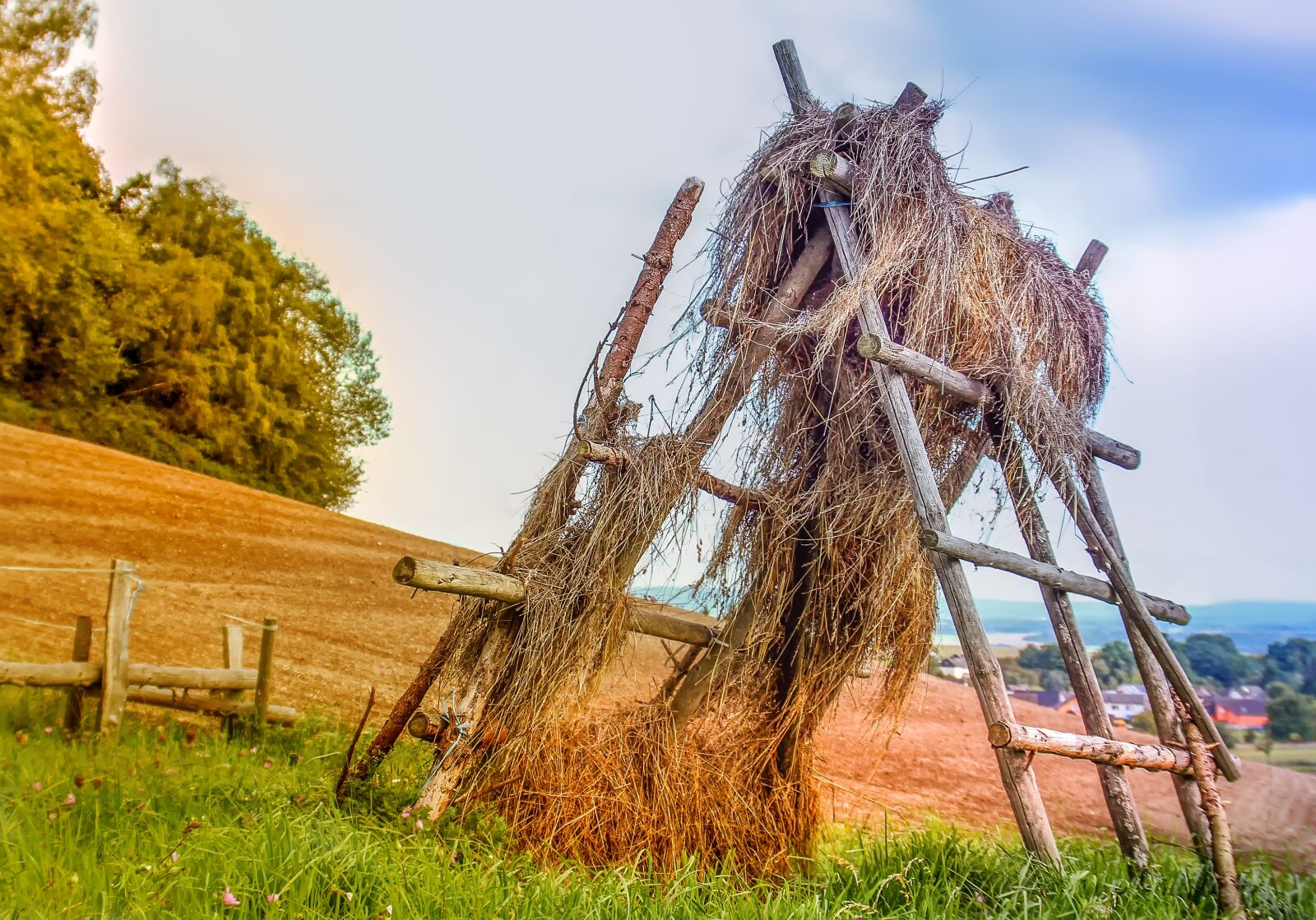 Canon EOS 60D sample photo. Hay, nature, meadow photography