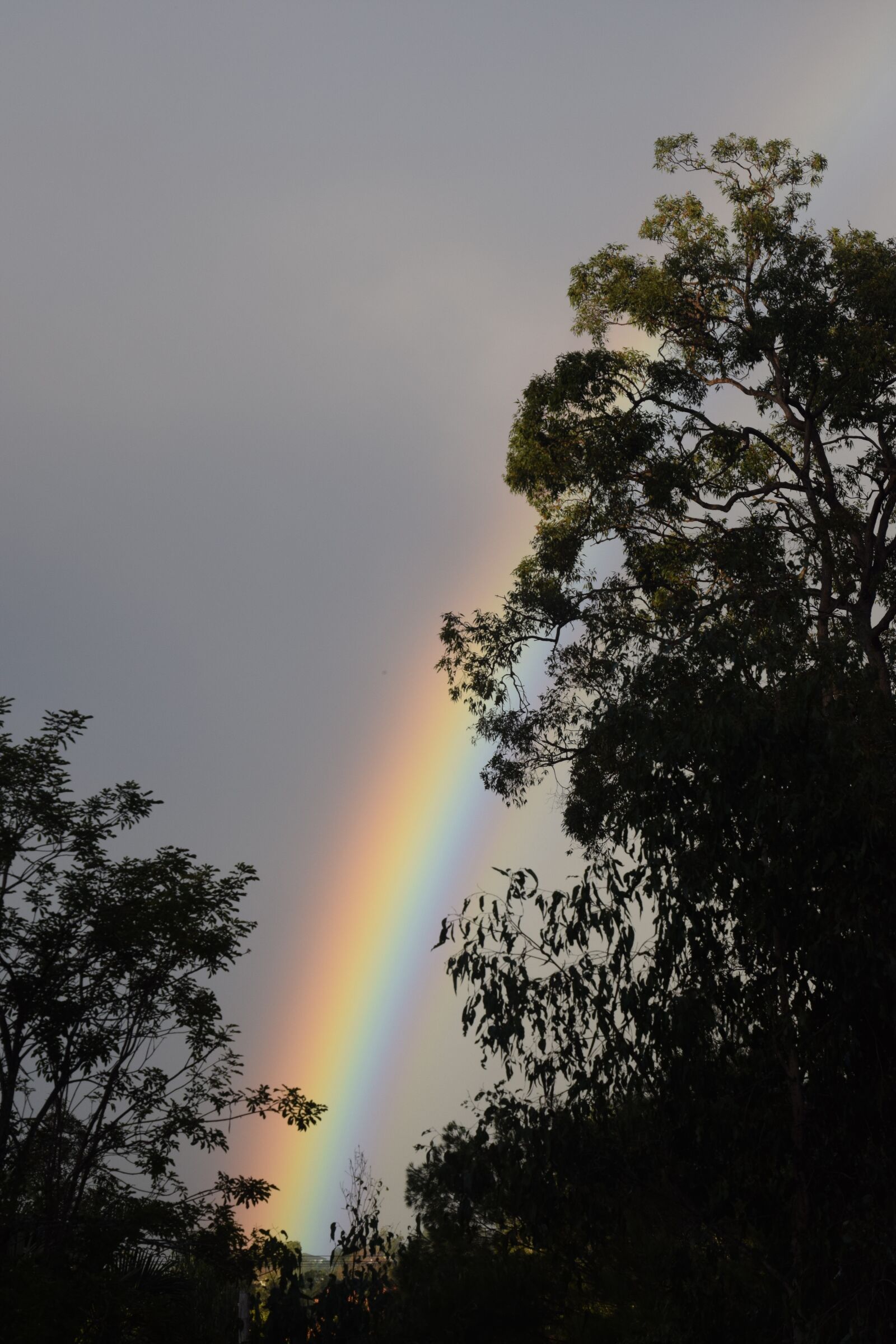 Nikon D5300 sample photo. Rainbow, hope, after rain photography