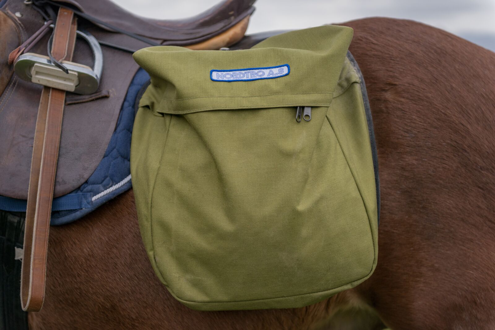 Nikon D800 sample photo. Horse, saddlebag, animals photography