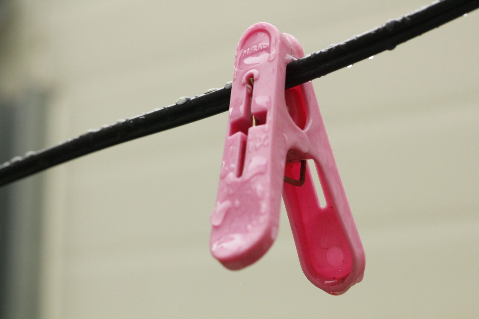 Canon EOS 550D (EOS Rebel T2i / EOS Kiss X4) sample photo. Clothes peg, laundry, raindrops photography