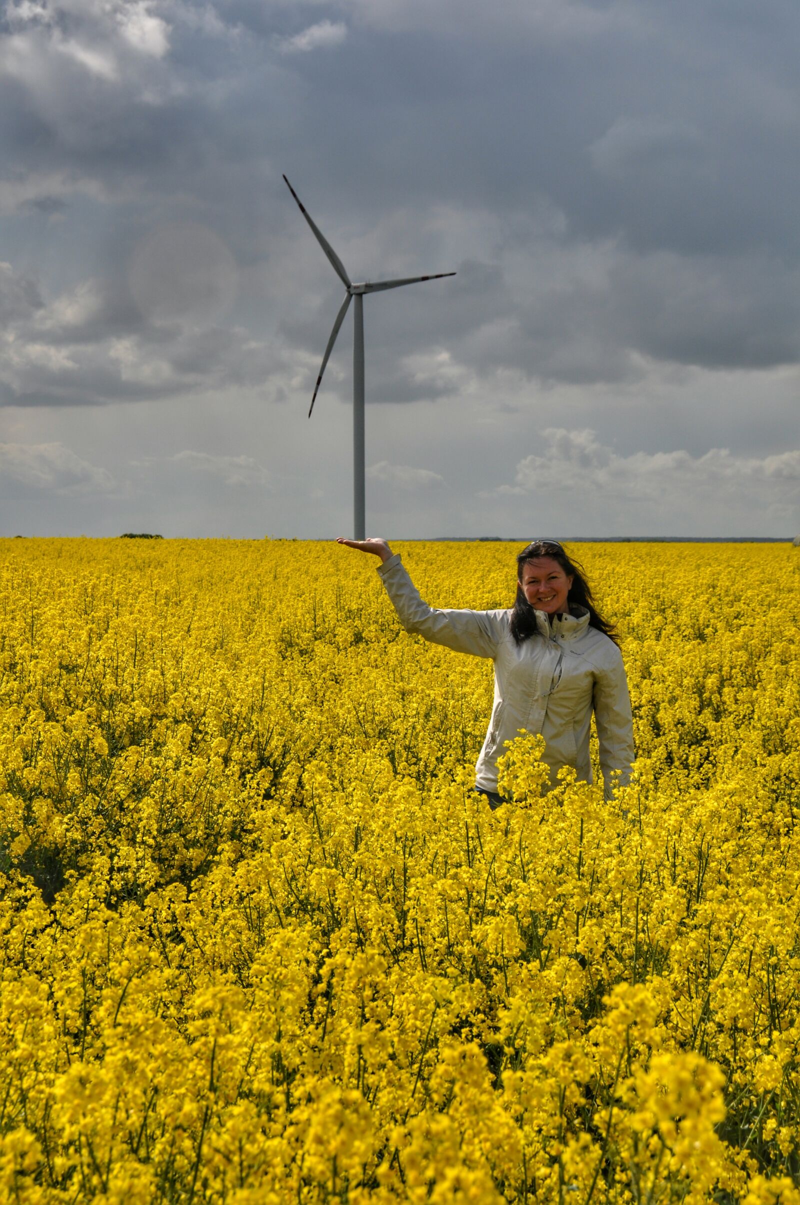 Nikon D90 sample photo. Windmill, rapeseed, spring photography
