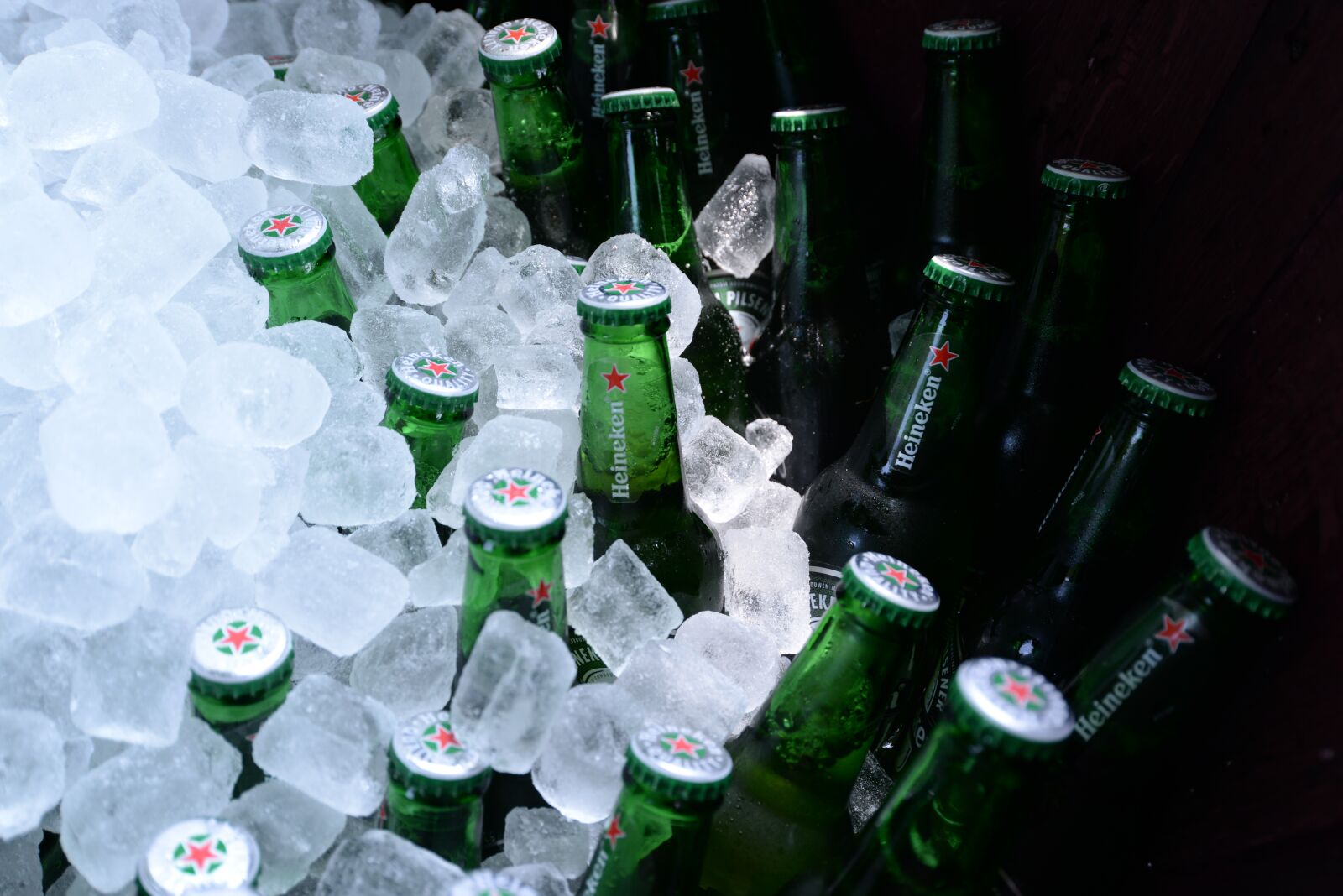 Nikon D610 sample photo. Bottles, beer, ice cubes photography